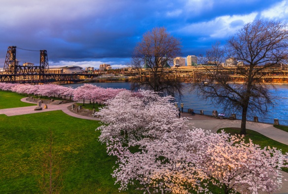 Tom McCall Waterfront Park of Portland